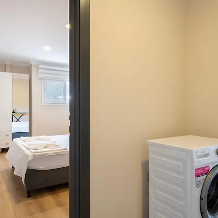 Modern One One In Apartment *