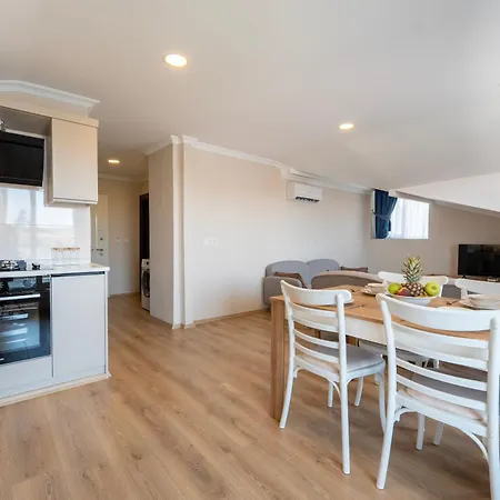 Modern One One In Apartment *